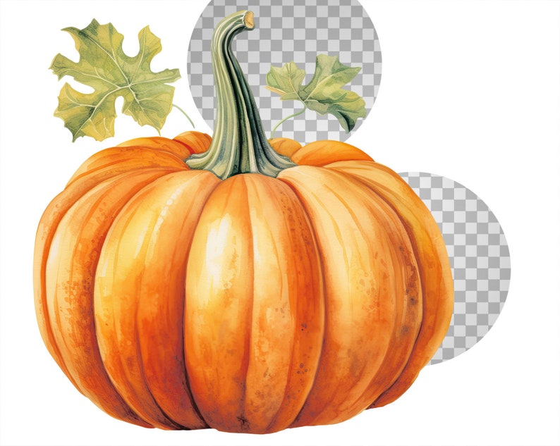 Watercolor halloween pumpkins clipart autumn realistic plant harvest floral compositions-botanical illustration-pumpkin transparent back image 10