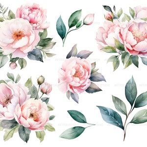 Watercolor pastel peonies clipart Dusty Pink Blush Light Floral Clip Art pink floral graphic pastel vintage peonies-wedding flowers PNG image 5