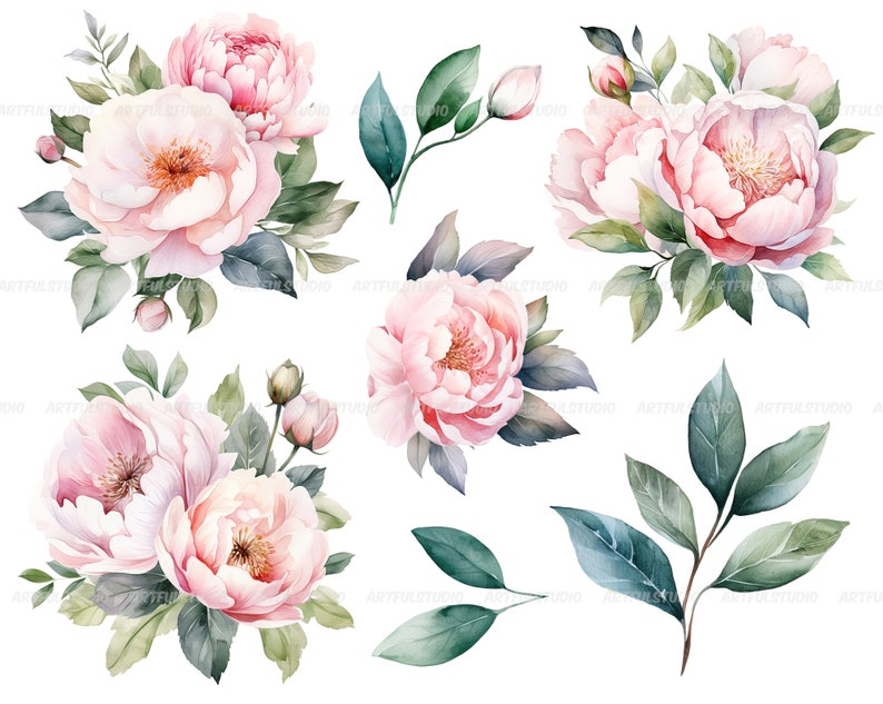 Watercolor pastel peonies clipart Dusty Pink Blush Light Floral Clip Art pink floral graphic pastel vintage peonies-wedding flowers PNG image 5