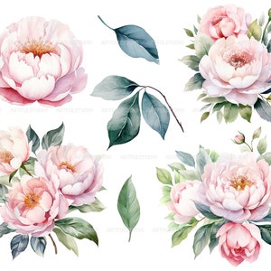 Watercolor pastel peonies clipart Dusty Pink Blush Light Floral Clip Art pink floral graphic pastel vintage peonies-wedding flowers PNG image 7