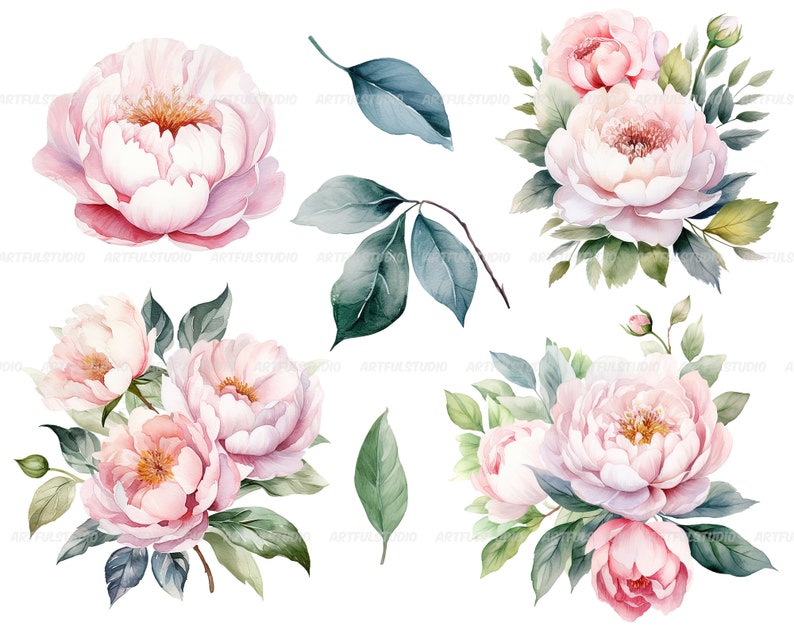 Watercolor pastel peonies clipart Dusty Pink Blush Light Floral Clip Art pink floral graphic pastel vintage peonies-wedding flowers PNG image 7