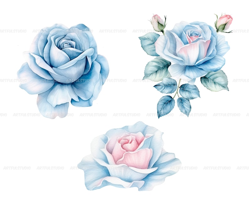 Watercolor blue delicate roses clipart flower illustration floral arrangements, dusty light blue rose pastel vintage wedding flowers image 3