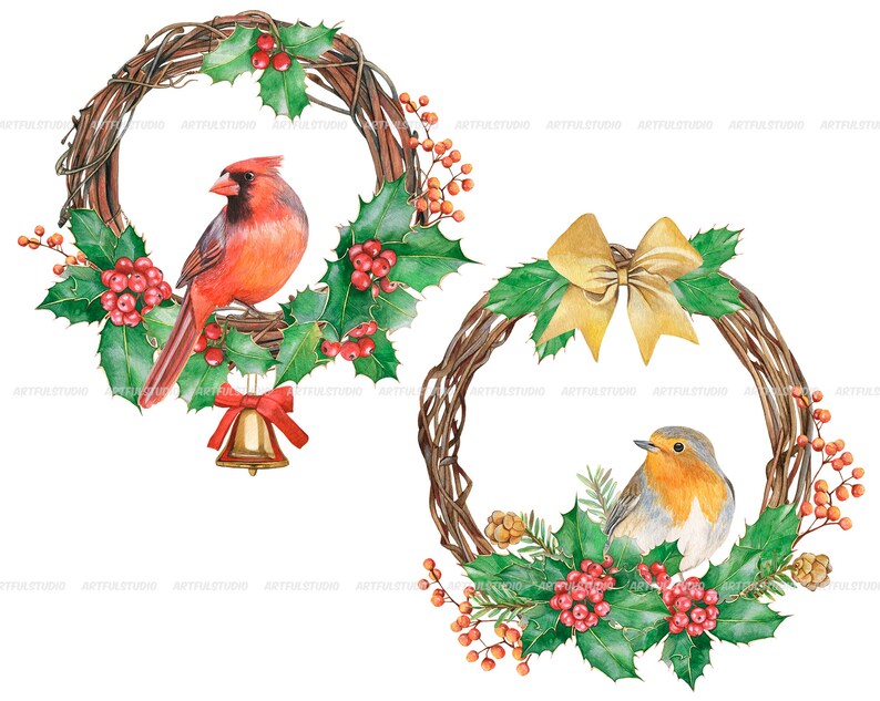 Watercolor christmas wreaths clipart-circle frame with winter birds PNG-red and green holiday-christmas composition-red cardinal, robin bird image 5