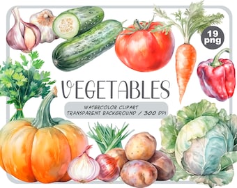 Watercolor vegetables clipart - summer vegetables sublimation - garden graphics-tomato, cucumber, pepper, cabbage, carrot, onion, potato PNG