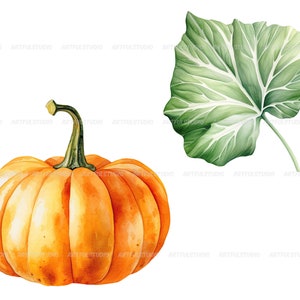 Watercolor halloween pumpkins clipart autumn realistic plant harvest floral compositions-botanical illustration-pumpkin transparent back image 3