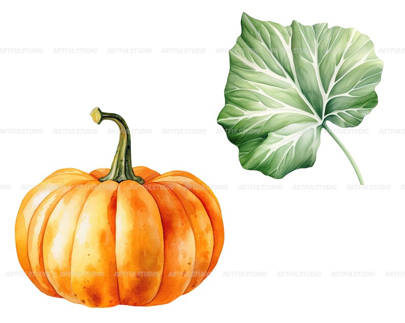 Watercolor halloween pumpkins clipart autumn realistic plant harvest floral compositions-botanical illustration-pumpkin transparent back image 3