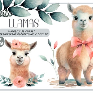 Watercolor cute baby llamas clipart-Realistic lama with flower-Baby Shower Graphics-Nursery Decor Wall Art-American Animal-alpaca portrait image 1