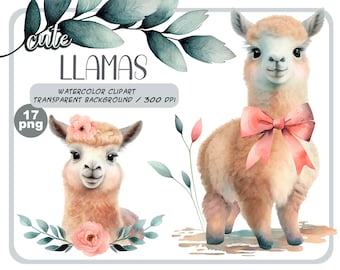 Watercolor cute baby llamas clipart-Realistic lama with flower-Baby Shower Graphics-Nursery Decor Wall Art-American Animal-alpaca portrait