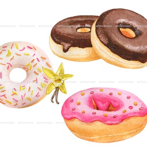 Watercolor donuts clipart sweets illustrations berry, chocolate donuts with glaze festive food, desserts, pastries-doughnut sublimation image 3