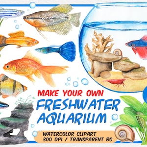 水彩熱帯魚のクリップアート - 淡水水族館コンストラクター - 独自の水族館を作る - 魚セット - 金魚、ネオン、グッピー、エビ - 即時ダウンロード