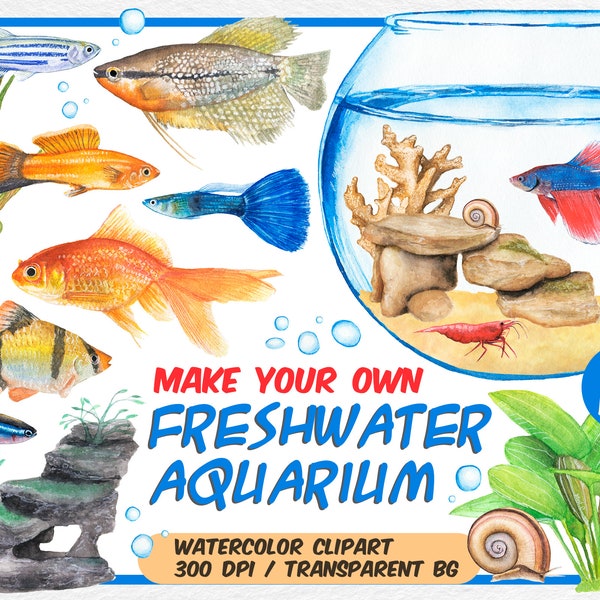 Watercolor tropical fish clipart-freshwater aquarium constructor-Make own aquarium-fish set-goldfish, Neon, Guppy, Shrimp-Instant download
