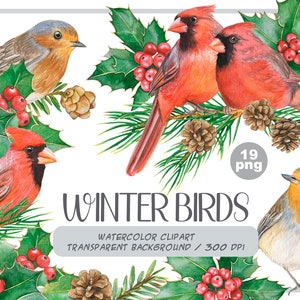 Watercolor winter birds clipart christmas cardinals illustration PNG-red and green holiday-robin bird, cones, holly,christmas compositions image 1