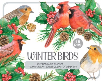 Watercolor winter birds clipart - christmas cardinals illustration PNG-red and green holiday-robin bird, cones, holly,christmas compositions