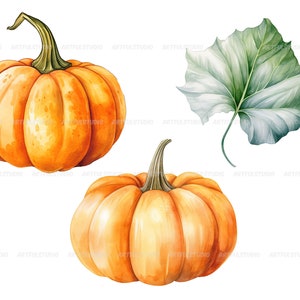 Watercolor halloween pumpkins clipart autumn realistic plant harvest floral compositions-botanical illustration-pumpkin transparent back image 4