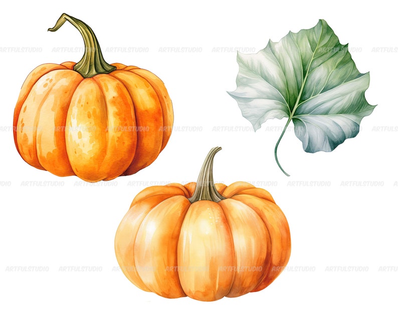 Watercolor halloween pumpkins clipart autumn realistic plant harvest floral compositions-botanical illustration-pumpkin transparent back image 4