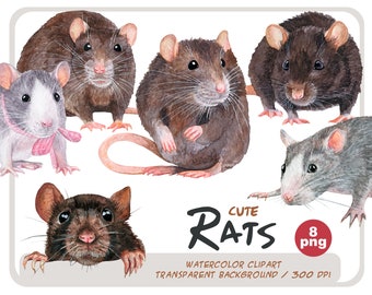 Watercolor rats clipart - realistic portraits of rat - mice illustrations - cute rat sublimation - rodents illustration - for rat lover pics