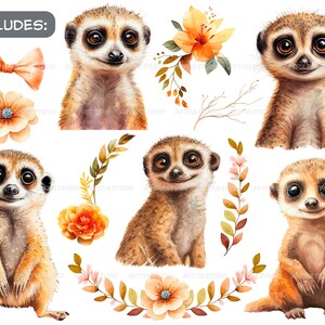 Watercolor cute baby meerkats clipart-Realistic meerkat with flower-Baby Shower Graphics-Nursery Decor Wall Art-African Animal's portrait image 2