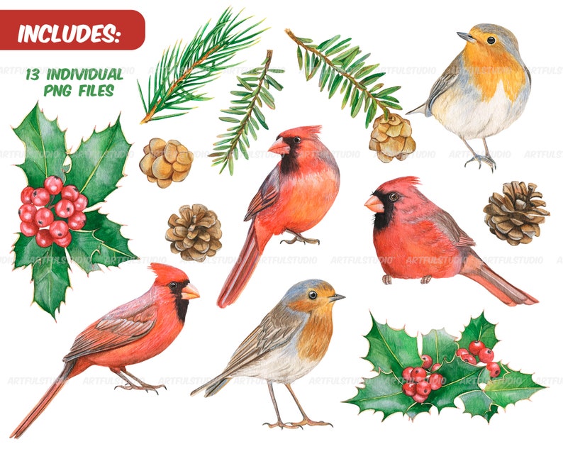 Watercolor winter birds clipart christmas cardinals illustration PNG-red and green holiday-robin bird, cones, holly,christmas compositions image 2