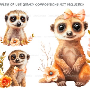 Watercolor cute baby meerkats clipart-Realistic meerkat with flower-Baby Shower Graphics-Nursery Decor Wall Art-African Animal's portrait image 8