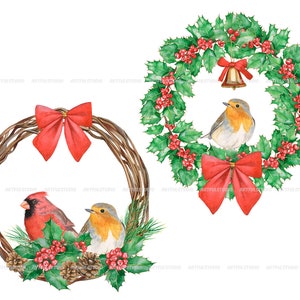 Watercolor christmas wreaths clipart-circle frame with winter birds PNG-red and green holiday-christmas composition-red cardinal, robin bird image 4