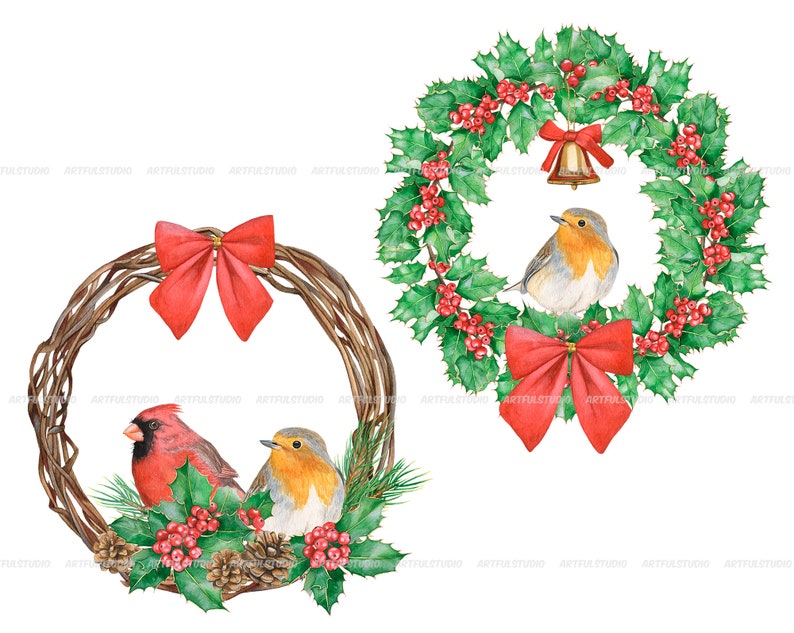 Watercolor christmas wreaths clipart-circle frame with winter birds PNG-red and green holiday-christmas composition-red cardinal, robin bird image 4