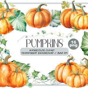 Watercolor halloween pumpkins clipart autumn realistic plant harvest floral compositions-botanical illustration-pumpkin transparent back image 1