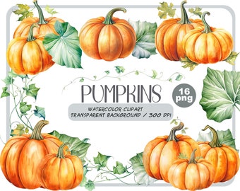 Watercolor halloween pumpkins clipart - autumn realistic plant - harvest floral compositions-botanical illustration-pumpkin transparent back