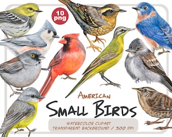 Watercolor Birds Clipart: Handpainted American Songbirds (PNG, Instant Download)