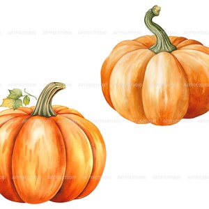 Watercolor halloween pumpkins clipart autumn realistic plant harvest floral compositions-botanical illustration-pumpkin transparent back image 9