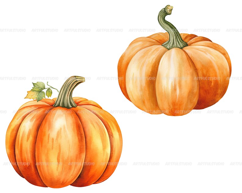 Watercolor halloween pumpkins clipart autumn realistic plant harvest floral compositions-botanical illustration-pumpkin transparent back image 9