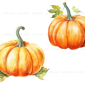 Watercolor halloween pumpkins clipart autumn realistic plant harvest floral compositions-botanical illustration-pumpkin transparent back image 5