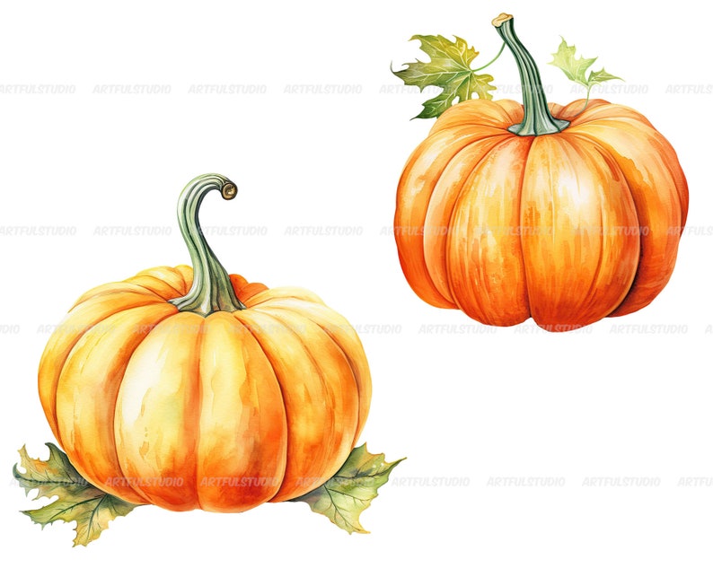 Watercolor halloween pumpkins clipart autumn realistic plant harvest floral compositions-botanical illustration-pumpkin transparent back image 5