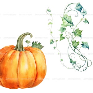 Watercolor halloween pumpkins clipart autumn realistic plant harvest floral compositions-botanical illustration-pumpkin transparent back image 8