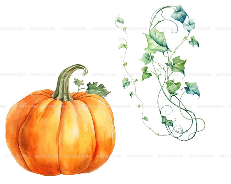 Watercolor halloween pumpkins clipart autumn realistic plant harvest floral compositions-botanical illustration-pumpkin transparent back image 8
