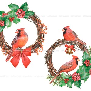 Watercolor christmas wreaths clipart-circle frame with winter birds PNG-red and green holiday-christmas composition-red cardinal, robin bird image 3