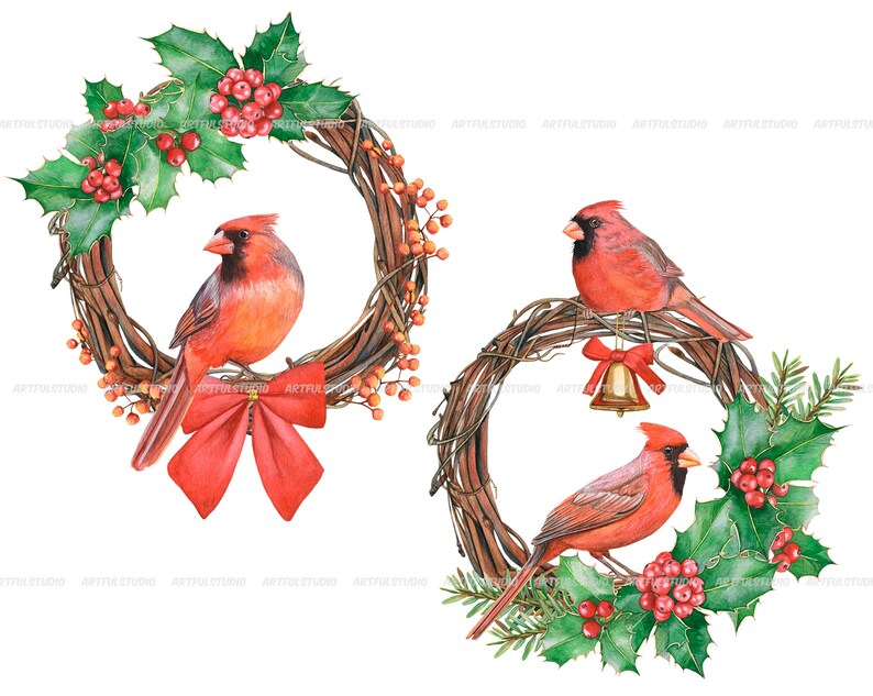 Watercolor christmas wreaths clipart-circle frame with winter birds PNG-red and green holiday-christmas composition-red cardinal, robin bird image 3