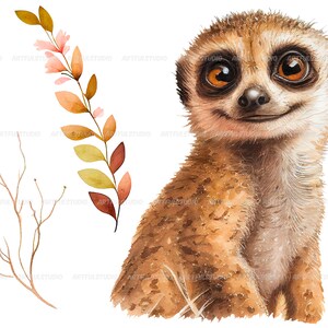 Watercolor cute baby meerkats clipart-Realistic meerkat with flower-Baby Shower Graphics-Nursery Decor Wall Art-African Animal's portrait image 5