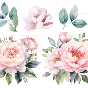 Watercolor pastel peonies clipart Dusty Pink Blush Light Floral Clip Art pink floral graphic pastel vintage peonies-wedding flowers PNG image 4