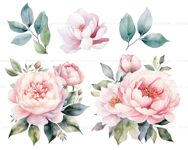 Watercolor pastel peonies clipart Dusty Pink Blush Light Floral Clip Art pink floral graphic pastel vintage peonies-wedding flowers PNG image 4