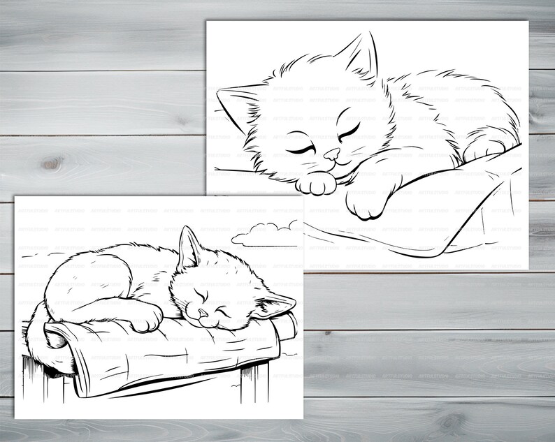 Sleeping cats PDF coloring book Printable colouring pages for kids Cute Cartoon cat coloring thick outlines for children's creativity image 4