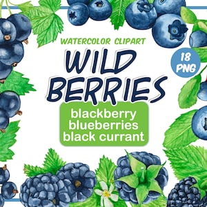 Watercolor wild berries clipart-forest berry-cranberries-red currant-strawberries-Summer Berry clipart-Green Leaves Clipart-Instant Download