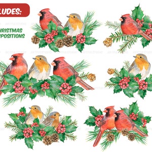 Watercolor winter birds clipart christmas cardinals illustration PNG-red and green holiday-robin bird, cones, holly,christmas compositions image 3