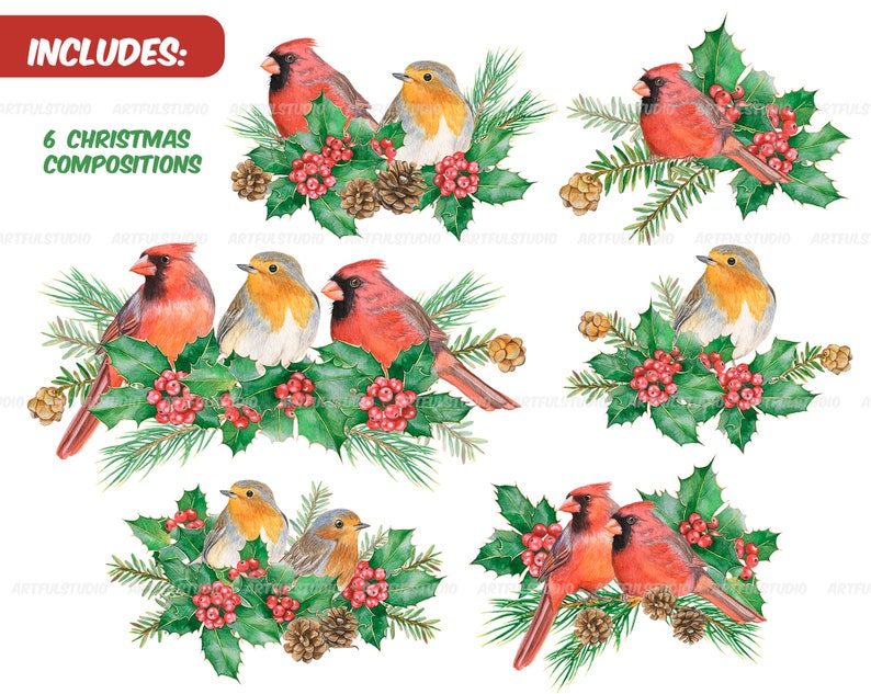 Watercolor winter birds clipart christmas cardinals illustration PNG-red and green holiday-robin bird, cones, holly,christmas compositions image 3