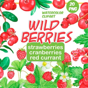 Watercolor wild berries clipart-forest berry-cranberries-red currant-strawberries-Summer Berry clipart-Green Leaves Clipart-Instant Download
