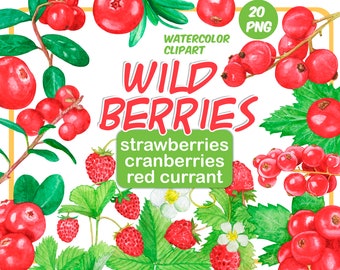 Watercolor wild berries clipart-forest berry-cranberries-red currant-strawberries-Summer Berry clipart-Green Leaves Clipart-Instant Download