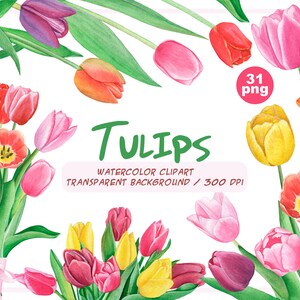 Clipart tulipes aquarelle-fleurs de printemps-constructeur de bouquet-illustration botanique-fleur de Pâques-décor floral de mariage-téléchargement instantané