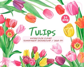 Watercolor Tulips clipart-Spring flowers-Bouquet constructor-Botanical illustration-Easter Blossom-Floral wedding Decor-Instant download