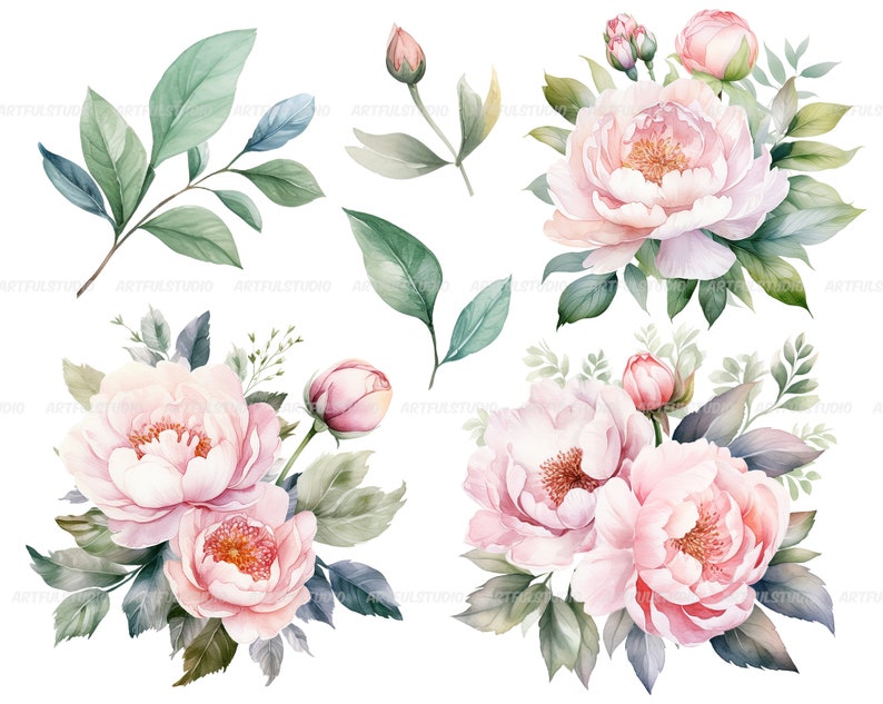 Watercolor pastel peonies clipart Dusty Pink Blush Light Floral Clip Art pink floral graphic pastel vintage peonies-wedding flowers PNG image 6