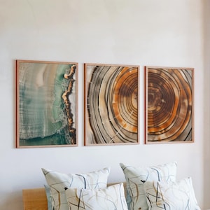 May include: Three framed wall art pieces. The left frame features a teal and brown abstract design. The center and right frames display cross-sections of wood, showcasing concentric rings in shades of brown and gray. The frames are light brown.