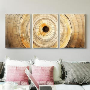 May include: A triptych of framed art prints featuring a close-up of a tree's cross-section. The artwork showcases concentric rings in shades of brown, tan, and yellow, creating a natural, earthy aesthetic. The prints are displayed above a sofa with pink and gray pillows.